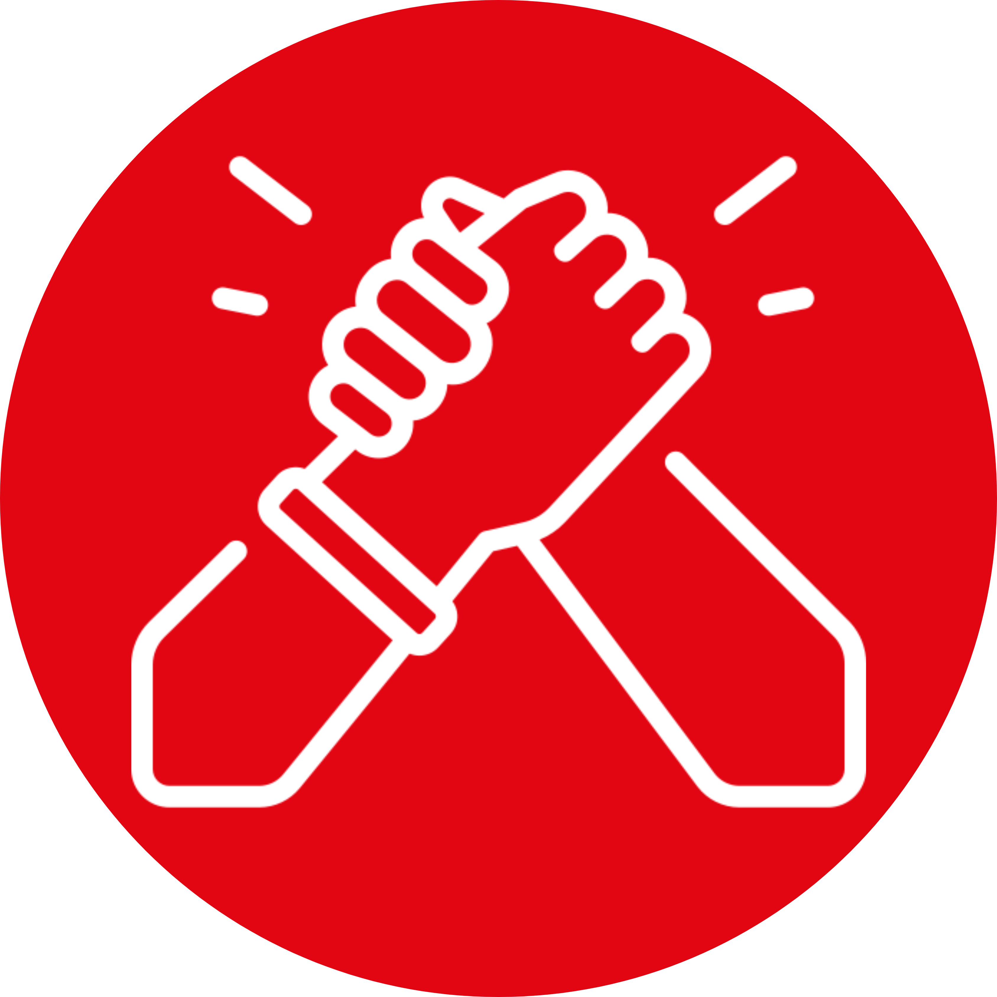 Partner Icon